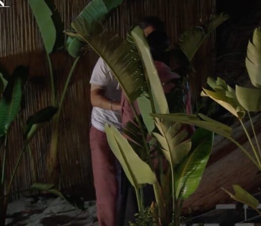 Temptation Island, Filippo interviene nel falò di confronto tra Sara e Gabriele: “Non è la tua Saretta. Se la ami, lasciala andare” | Video Witty tv filippo giacca sara temptation island