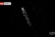 World UFO Day 2026 su Focus: il 2 luglio una giornata tra UFO, alieni e misteri del cosmo focus ufo