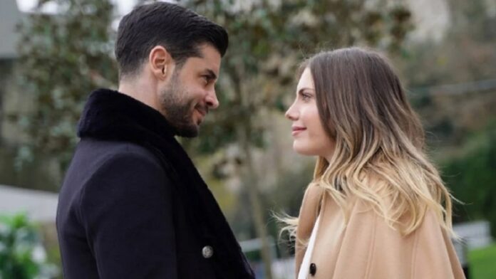 forbidden fruit cagatay e yildiz Forbidden fruit