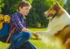 Ascolti tv 25 agosto 2026: Lassie torna a casa (10.6%), Nata per te (14%), L’Eredità Summer (14.9%), La Ruota della Fortuna (28.7%), Verità Nascoste – Il Diario (16%) | Dati Auditel Lassie torna a casa