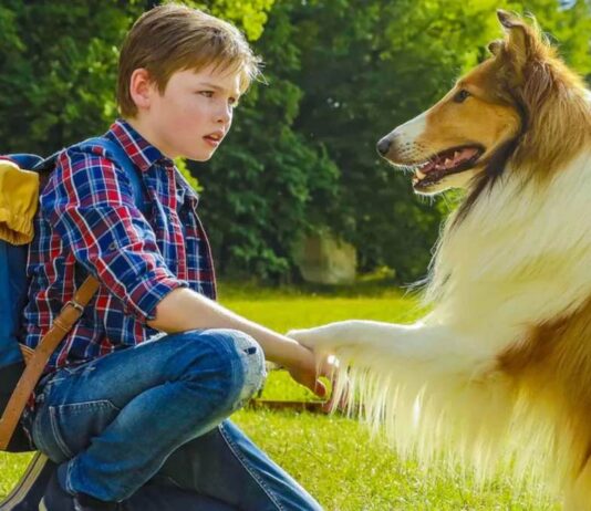 Ascolti tv 25 agosto 2026: Lassie torna a casa, Nata per te, L’Eredità Summer, La Ruota della Fortuna | Dati Auditel Lassie torna a casa