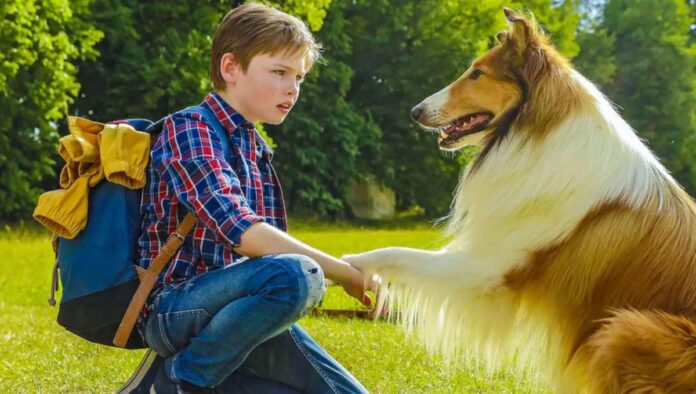 Lassie torna a casa