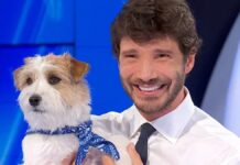 Affari tuoi, Pasquale del Molise vince 200mila euro: una serata da ricordare Tommasino ad Affari Tuoi