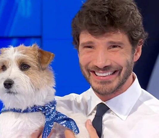 Affari tuoi, Pasquale del Molise vince 200mila euro: una serata da ricordare Tommasino ad Affari Tuoi