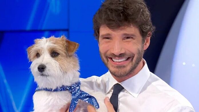 Tommasino ad Affari Tuoi Tommasino ad Affari Tuoi