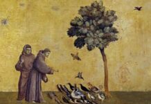 “Francesco Il Santo di Tutti”, Rai 1 celebra San Francesco a 800 anni dalla morte: anticipazioni e ospiti Francesco, il Santo di Tutti su Rai1